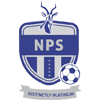 Ngezi Platinum FC