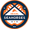 California Seahorses