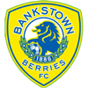 Canterbury Bankstown FC
