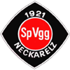 SPVGG Neckarelz