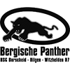 HSG Bergische Panther