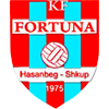 FK 포르투나 스코페