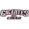 Гигантес дел Цибао