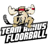 Team Arhus Floorball