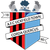 AFC Uckfield