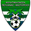 AE Pellanas/Kastoriou
