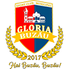 Scm Gloria Buzau