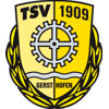 TSV葛斯多芬