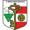TJ Tatran Bohunice