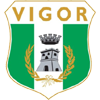 Vigor Lamezia
