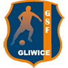GSF Gliwice
