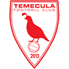 테메큘라 FC