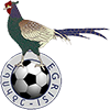 FC Egrisi