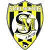 Stade Montois