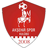 アクシェヒル SK 2008