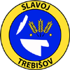 Slavoj Trebisov