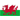 Gales sub-17 - Femenino