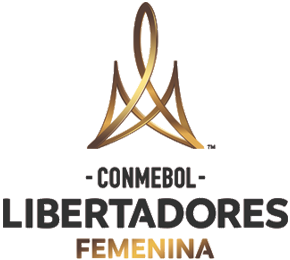 Copa Libertadores - Damer