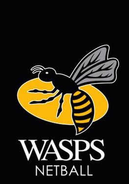 Wasps擦網球