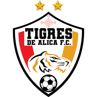 Tigres de Álica FC