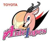 Toyota Антилопес - Женщины