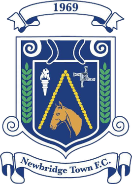 Newbridge Town FC