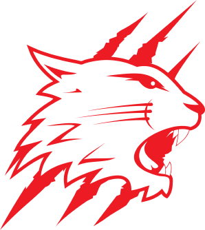 Swindon Wildcats