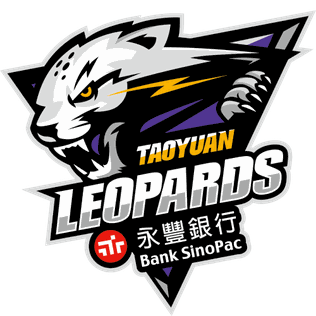 taoyuan leopards jersey