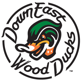 Down East Wood Ducks