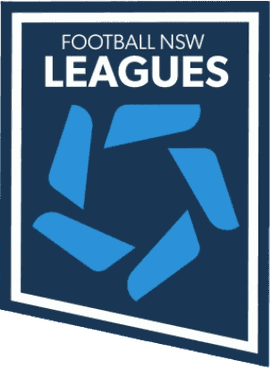 Australia New South Wales League 3