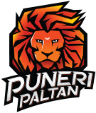 Пунери Палтан
