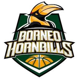 Borneo Hornbills