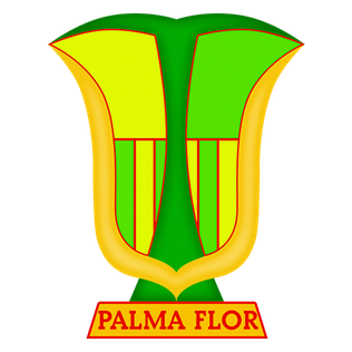 Atletico Palmaflor Vinto