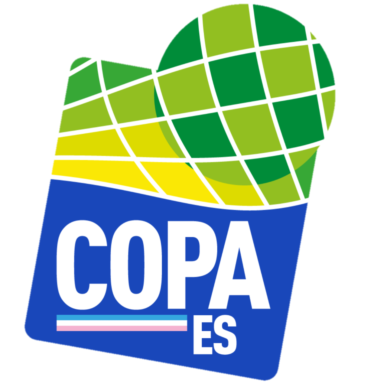 Brazil Copa Espirito Santo