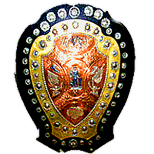 India IFA Shield