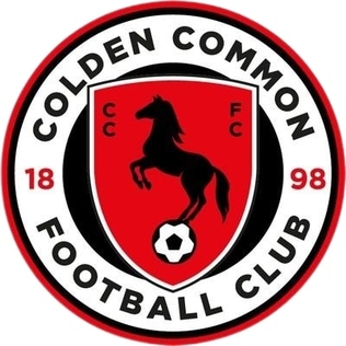 Colden Common FC